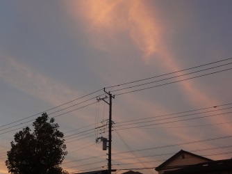 ファイル 5794-1.jpg