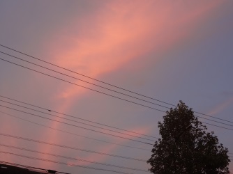 ファイル 5794-2.jpg