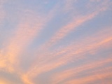 ファイル 6199-1.jpg