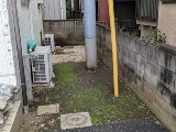 ファイル 6239-1.jpg