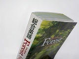 ファイル 5403-1.jpg
