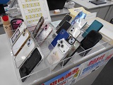 ファイル 5477-1.jpg